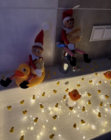 Elfai maitina ančiukus